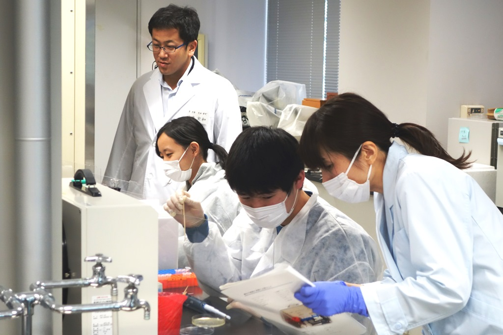 遺伝子型判定のための電気泳動実験の様子