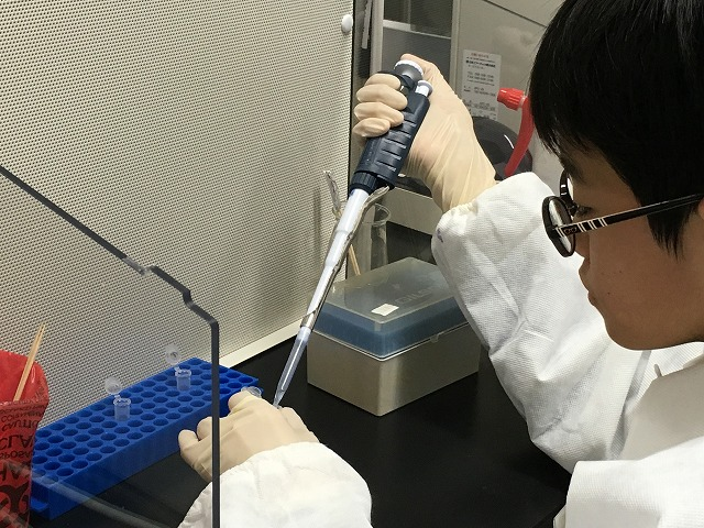 大腸菌の遺伝子組換え実験の様子