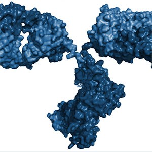 タンパク製剤としても知られるバイオ医薬品の例